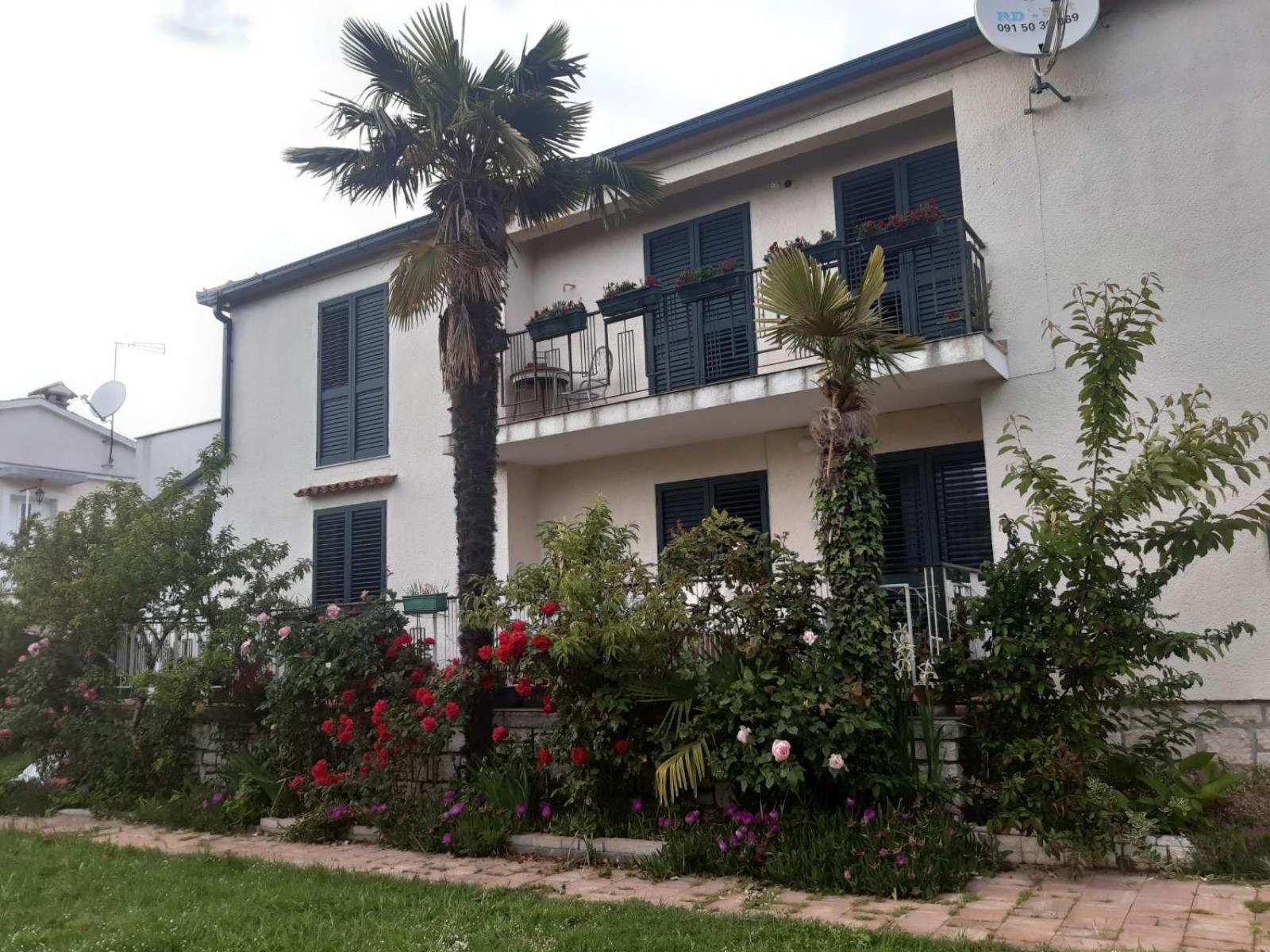 Apartments Palm House Ровинь Экстерьер фото