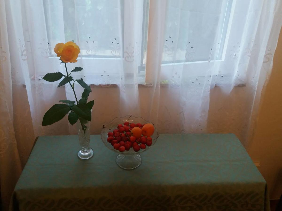 Apartments Palm House Ровинь Экстерьер фото